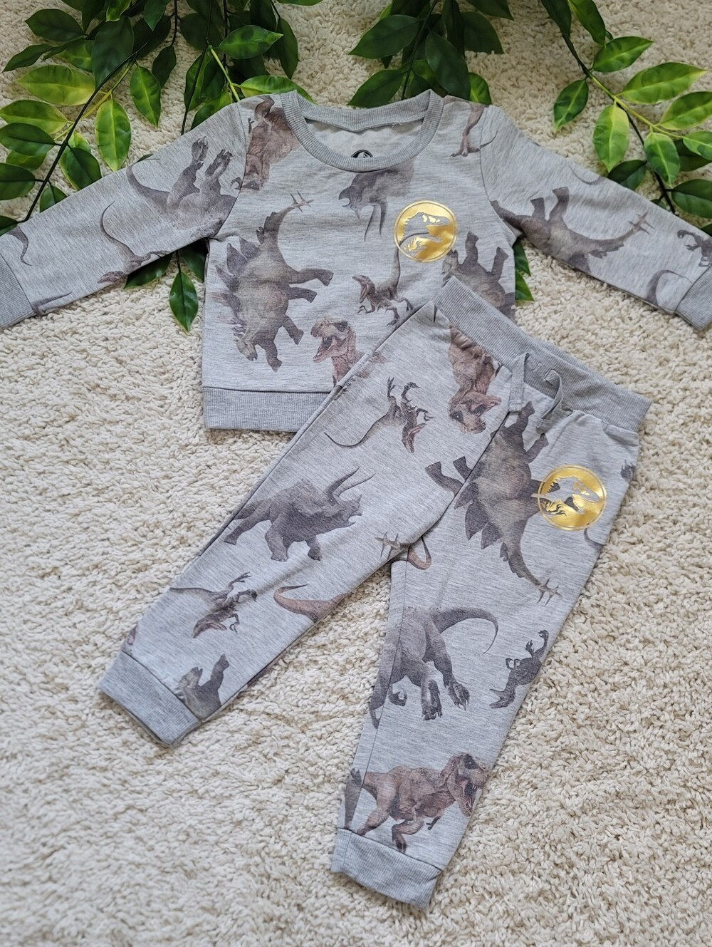 Toddler Boy Grey Jurassic World Outfit (2T)